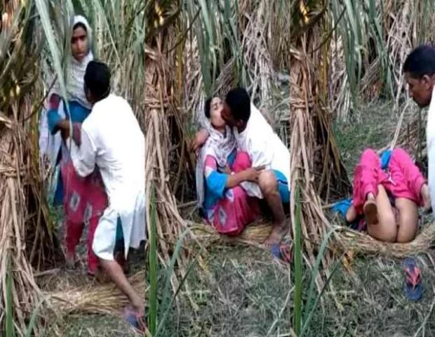 बांग्ला मुस्लिम बौड़ी को खेत में चोदा लवर ने एमएमएस बनाकर वीडियो