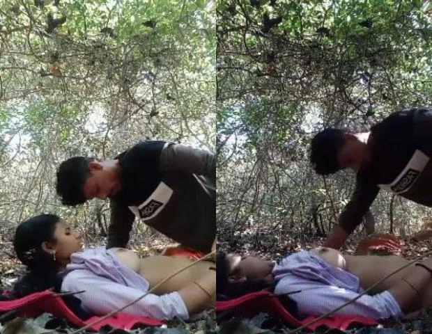 तमिल कॉलेज गर्ल सेक्स करती है जंगल में लवर साथ क्लिप वीडियो